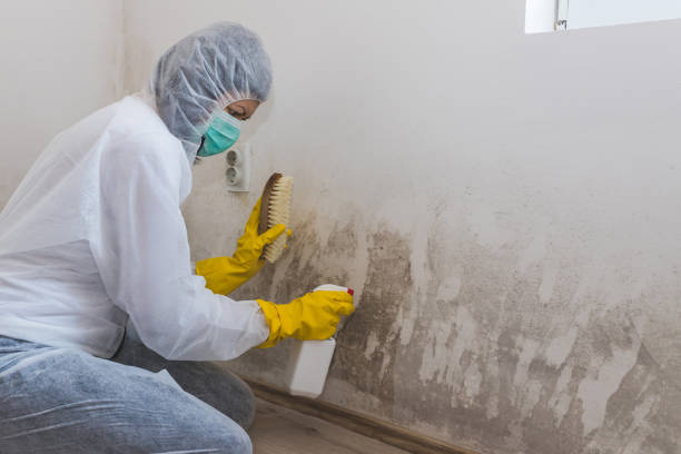Best Mold Testing  in Forsyth, MT