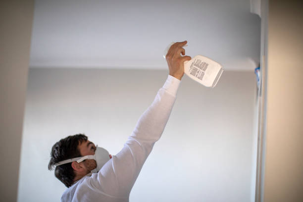 Best Black Mold Removal  in Forsyth, MT