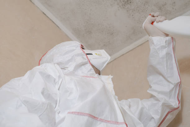 Best Water Damage Restoration  in Forsyth, MT